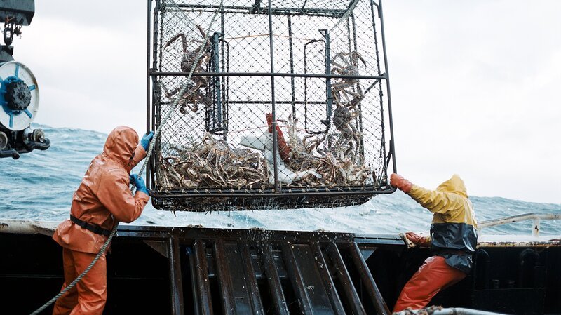 Bild: Discovery Communications/​Corey Arnold