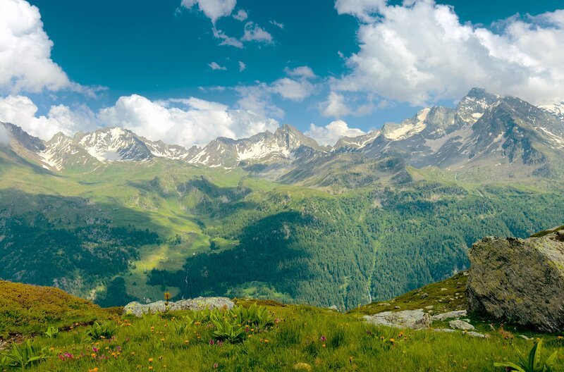 Panoramabild der Almwiese im Valgrisenche – Bild: Simona Risi/​Alpenway Media