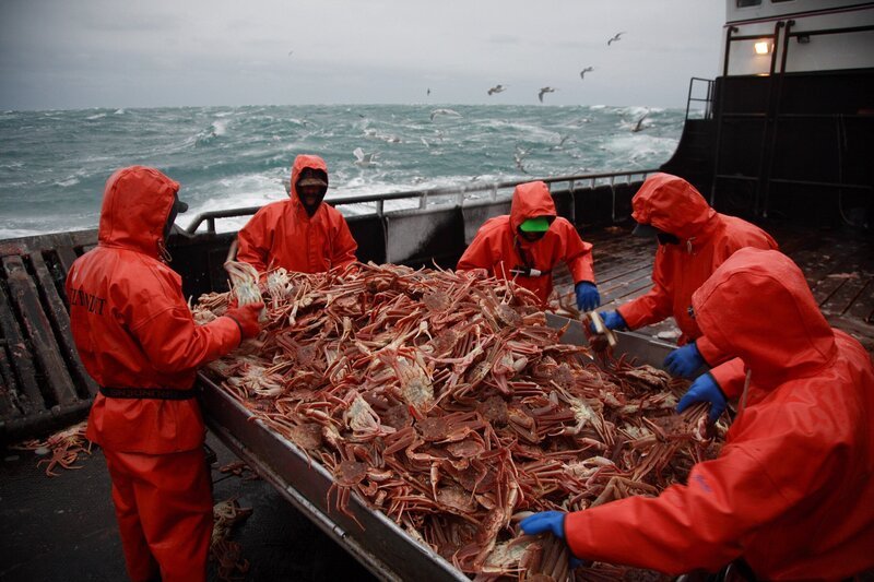 Time Bandit crew sorts crabs at table – Bild: DISCOVERY CHANNEL
