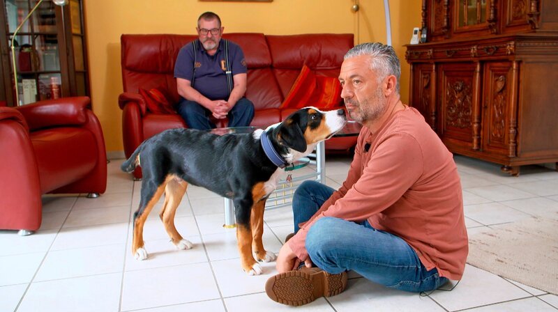Hundecoach Andreas Ohligschläger (r) zusammen mit Schweizer Sennenwelpe Chester beim ersten Training. Hundehalter Paul schaut im Hintergrund zu. – Bild: WDR