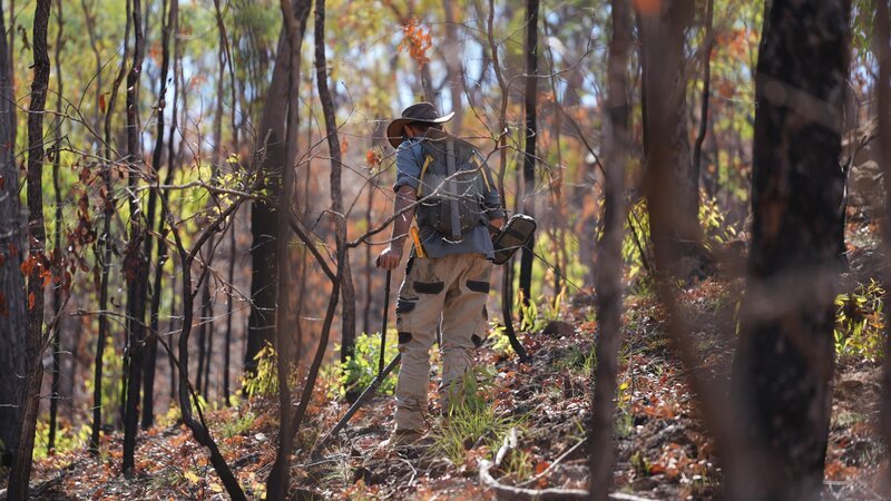 Bild: Electric Pictures Pty Ltd