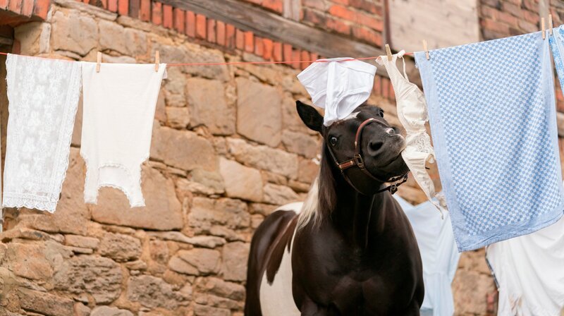 Auf Gut Kaltenbach ist immer was los. Heute muss die frische Unterwäsche dran glauben. – Bild: HR/​Constantin Film Verleih GmbH/​SamFilm GmbH