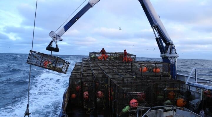 The Northwestern – Bild: Discovery Communications, Inc. Show and Network Promotion