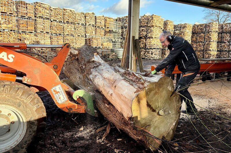 Mit Brennholz fing alles an. Um mehr mit Holz arbeiten zu können, hat Uwe Alswede sein Leben neu ausgerichtet. – Bild: NDR/​Bärbel Fening