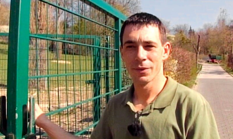 Pfleger Michael Gühlcke hat eine besondere Aufgabe: er soll ein Straußenpaar in Fortpflanzungsstimmung versetzen. – Bild: HR