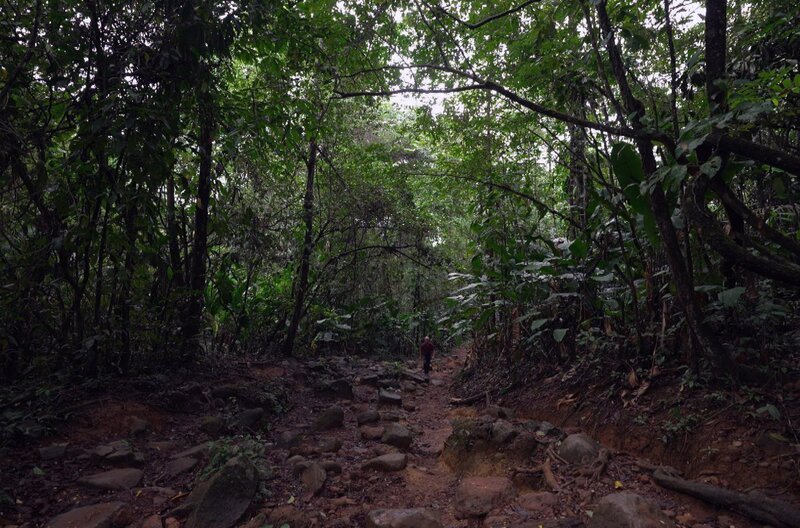 Im Jahr 1956 wird Jean Hurault damit beauftragt, das neue Département Französisch-Guayana zu kartieren. Um sein Projekt voranzutreiben, kann sich der Geograf nur auf das Gedächtnis der indigenen Völker verlassen. – Bild: Elephant Doc