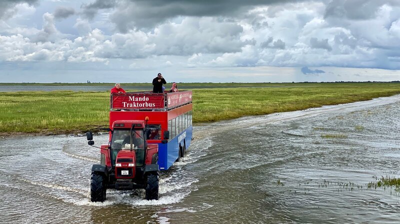 Auf die Insel Mandø kommt man nur mit dem Traktorbus – im Takt der Tiden. – Bild: NDR/​nonfictionplanet/​Till Lehmann