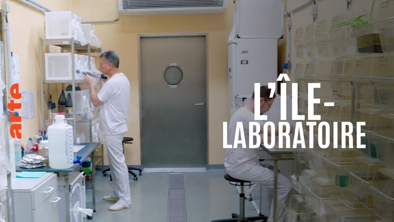 – Bild: Arte – Bild: Arte