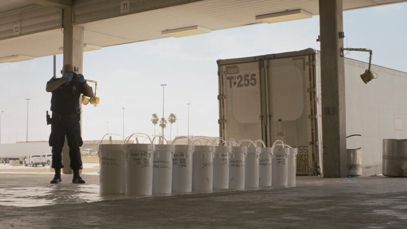 Bild: Stampede Production /​ Stewart Morris Lizenzbild frei