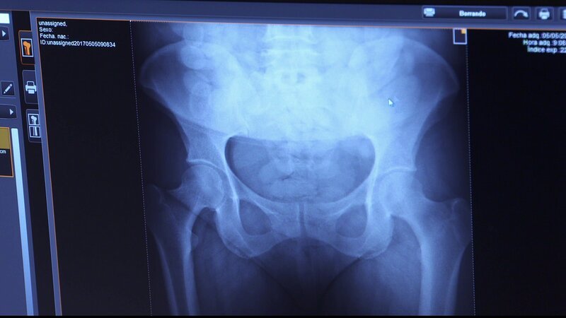 Bild: CINE NATURALEZA Y TELEVISION S.L /​ Discovery Communications.