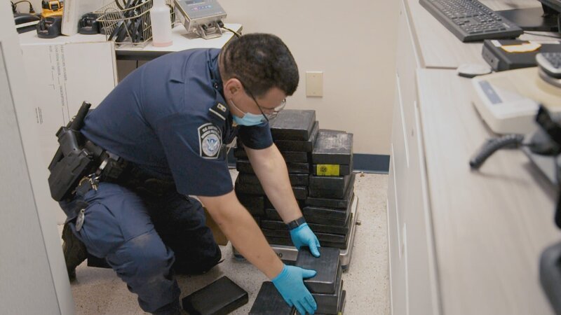 Bild: Stampede Production /​ Stewart Morris Lizenzbild frei