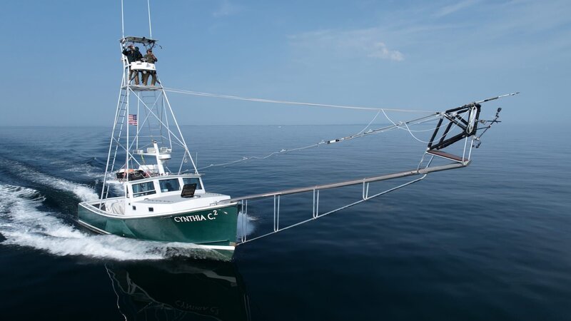 Cynthia C2 Looking for Bluefin with Cast on Perch (Front/​ Side View): Tyler Macallister, Sean Davis, Todd Espinola – Bild: Warner Bros. Discovery, Inc. or its subsidiaries and affiliates.