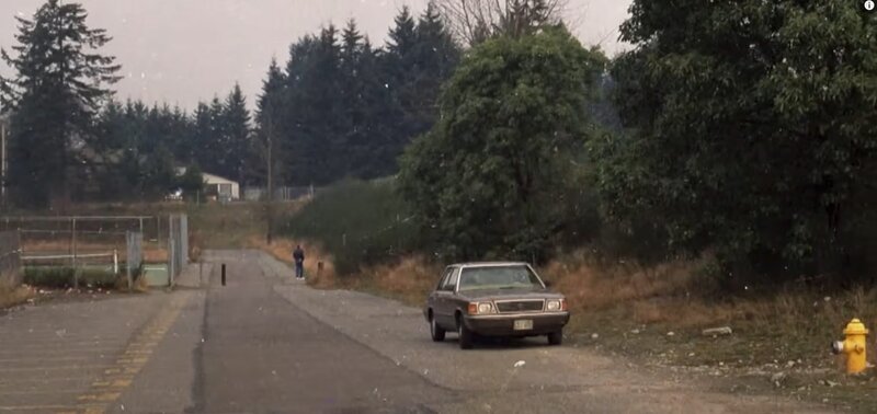 Ein Auto steht am Straßenrand neben einem gelben Hydranten, während eine Person in der Ferne geht. – Bild: abacus /​ abacus media /​ Crime + Investigation