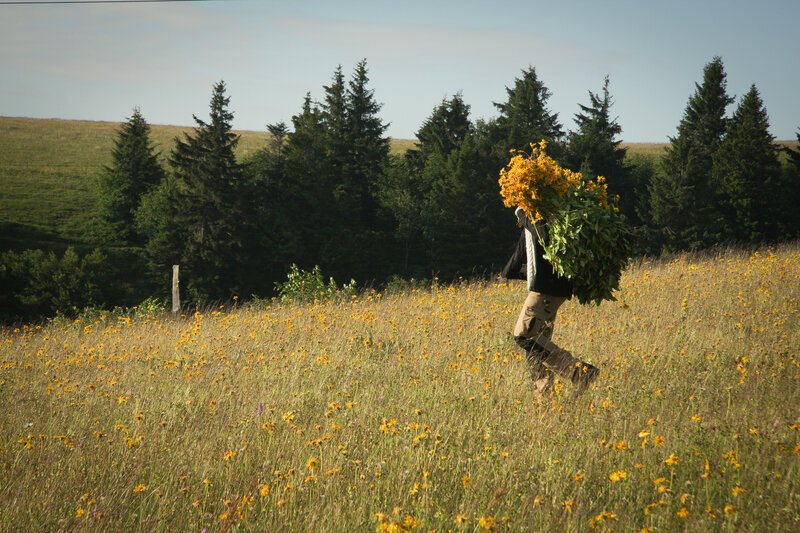 . – Bild: Marco Polo TV