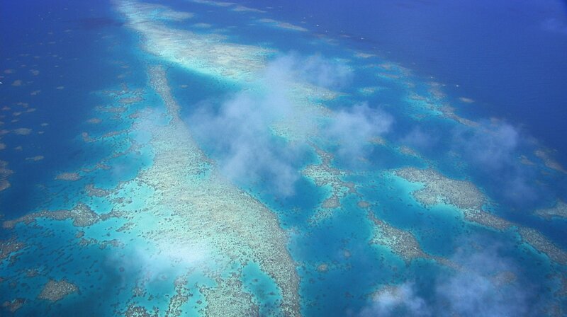 Milliarden von Korallentierchen haben das größte Bauwerk der Erde erschaffen, das 2300 km lange Great Barrier Reef. – Bild: phoenix/​ZDF/​Content Mint PTY LTD