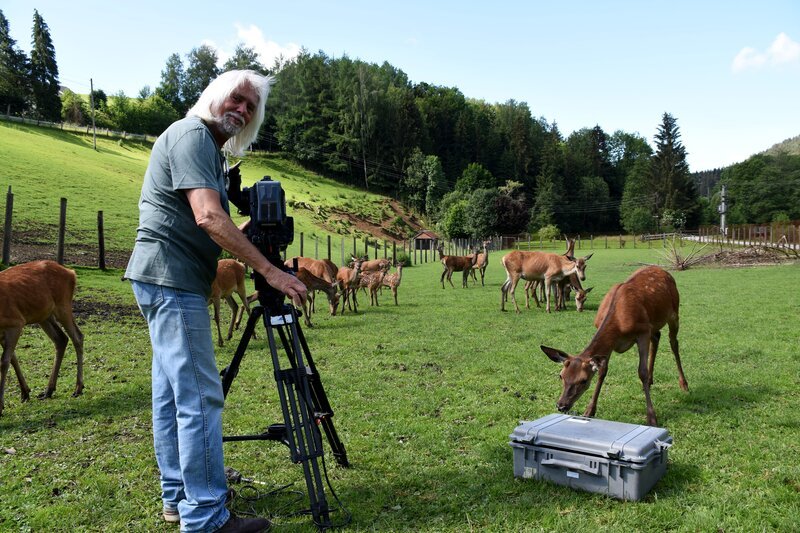 Erich Pröll filmt im Hirschgehege. – Bild: ORF/​Pröllfilm
