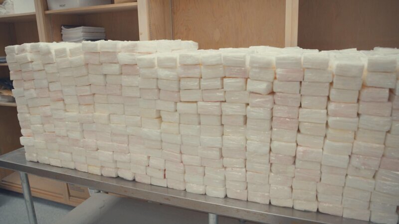 Bild: Stampede Productions Ltd /​ Jaylend Shields Lizenzbild frei