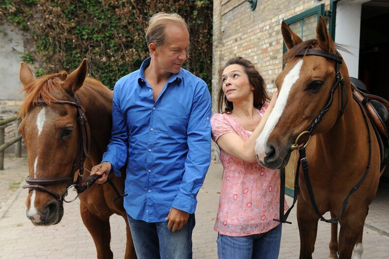 ARD DIE STEIN II. Staffel (13 neue Folgen), Folge 23 „Neues altes Glück“, am (22.11.11), dienstags um 20:15 Uhr im Ersten. Versöhnung – Stefan Hagen (Jochen Horst, l.) und Katja Stein (Julia Stemberger, r.) versuchen den Neuanfang auf dem Reiterhof. – Bild: ARD/​Claudius Pflug