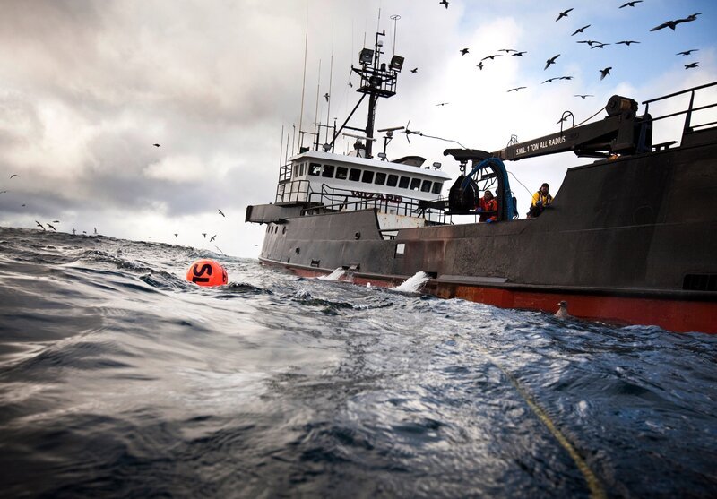 The Wizard and its crew work to catch King Crab on the Bering Sea during King Crab season on Deadliest Catch season six. – Bild: Rick Gershon /​ Reportage by Getty Images /​ Discovery Communications LLC /​ Discovery Networks Picture Publicity