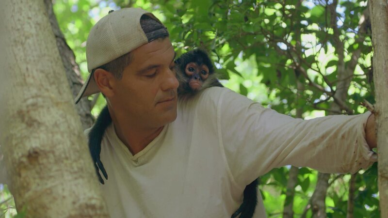 Bild: Discovery Networks