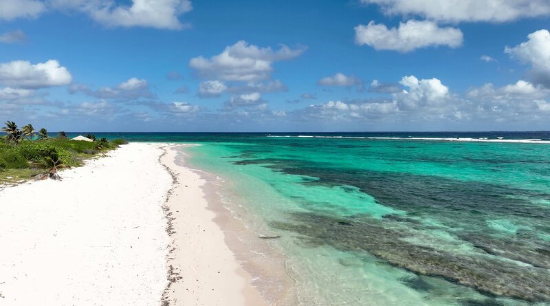 Grüne Palmen, weißer Sand, türkisfarbenes Wasser: Strände gibt es auf allen Cayman-Inseln, auf „Little Cayman“ sind sie noch am ursprünglichsten und so gut wie nie überlaufen. – Bild: NDR/​Florian Melzer