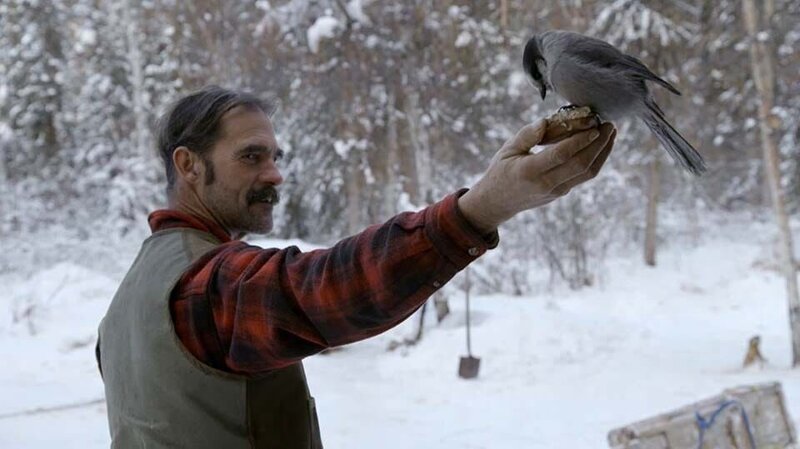 Bob. – Bild: Discovery Channel /​ Tanja Bachetzky