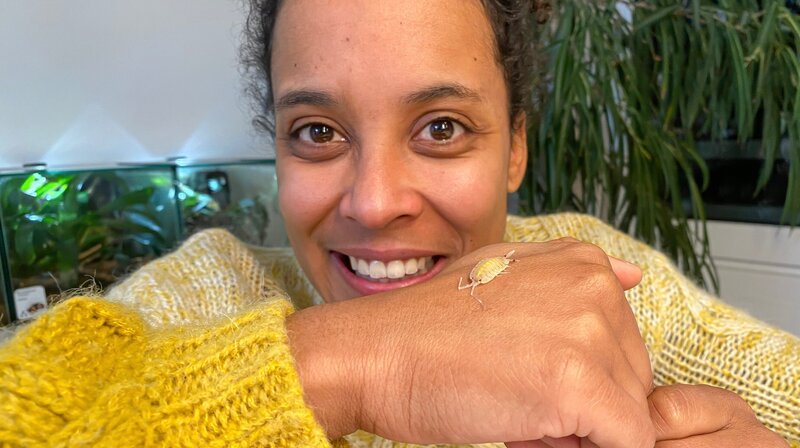 Asseln gibt es in vielen verschiedenen Größen und ganz unterschiedlichen Farben. – Bild: BR/​Text und Bild Medienproduktion GmbH & Co. KG/​Katharina Brackmann