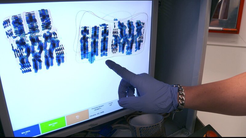 Looking at the camera – Bild: CINE NATURALEZA Y TELEVISION S.L /​ Discovery Communications.