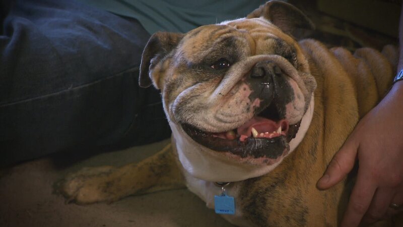 . – Bild: Warner Bros. Discovery