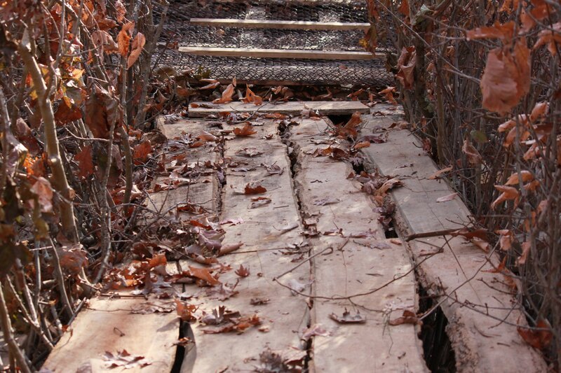 The team’s trap up close. – Bild: Animal Planet