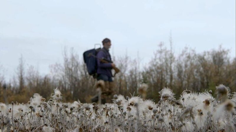 Bob. – Bild: Discovery Channel /​ Tanja Bachetzky