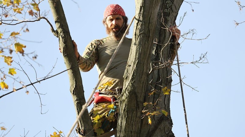 Willy in tree. – Bild: Destination America
