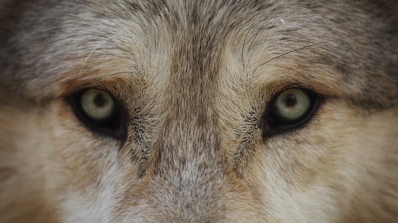 . – Bild: Warner Bros. Discovery