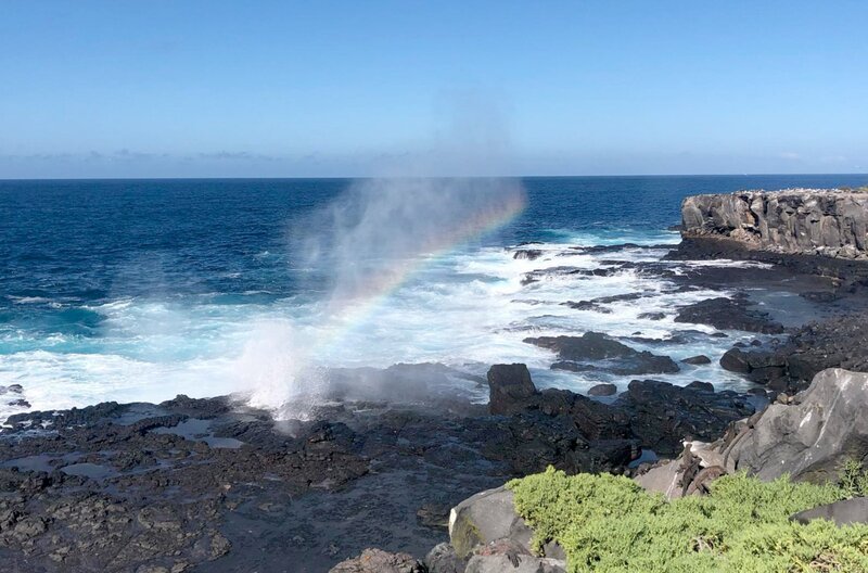 Auf den flachsten Inseln wie Española gibt es Kolonien von Nazca-Tölpeln zu entdecken. – Bild: Nature Conservation Films