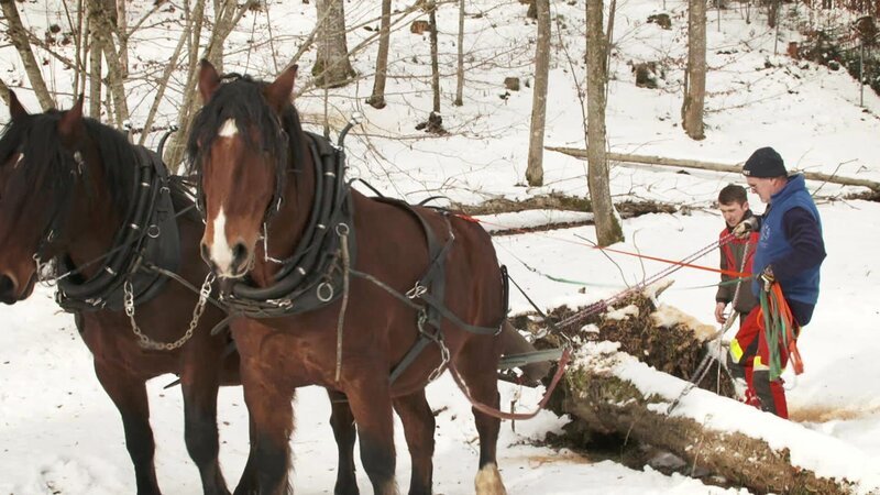 . – Bild: Warner Bros. Discovery