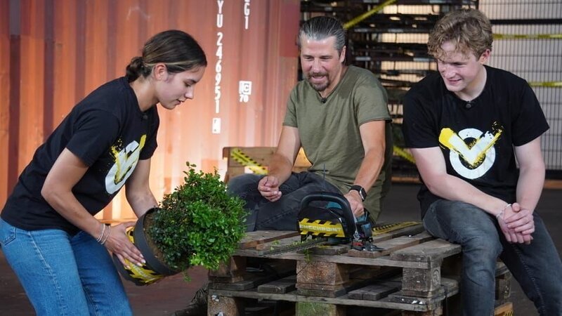 Heute werden Bäumchen geschnitten, aber nicht klassisch, sondern einfach mal andersrum. Biany, Tommy und Mark testen es. – Bild: ZDF/​Katharina Barnick