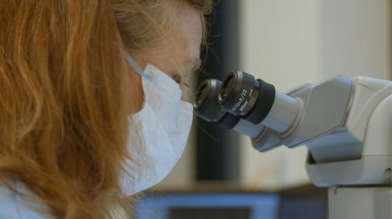 Forensiker auf Spurensuche. – Bild: Crime + Investigation /​ Liza Chambers