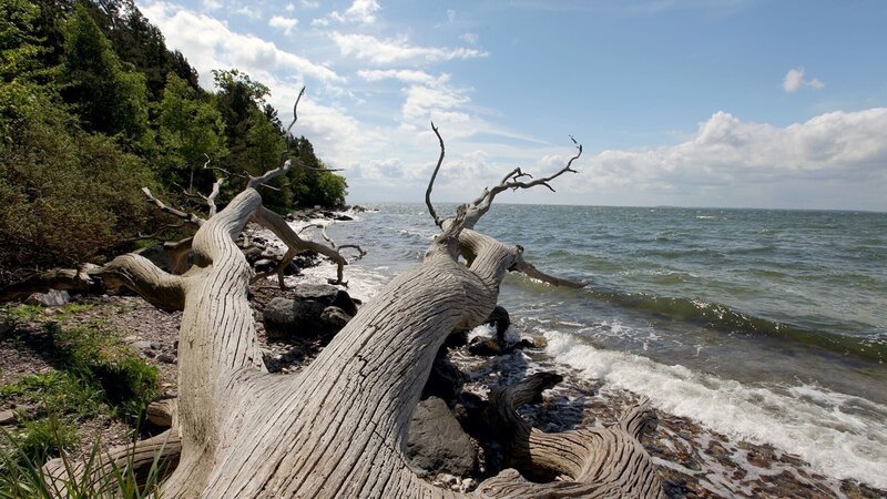Wilde Strände im kleinsten Nationalpark Deutschlands – Nationalpark Jasmund. Weitere Fotos erhalten Sie auf Anfrage. – Bild: Arte