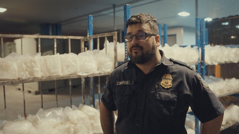 Bild: Stampede Productions Ltd /​ Jaylend Shields Lizenzbild frei