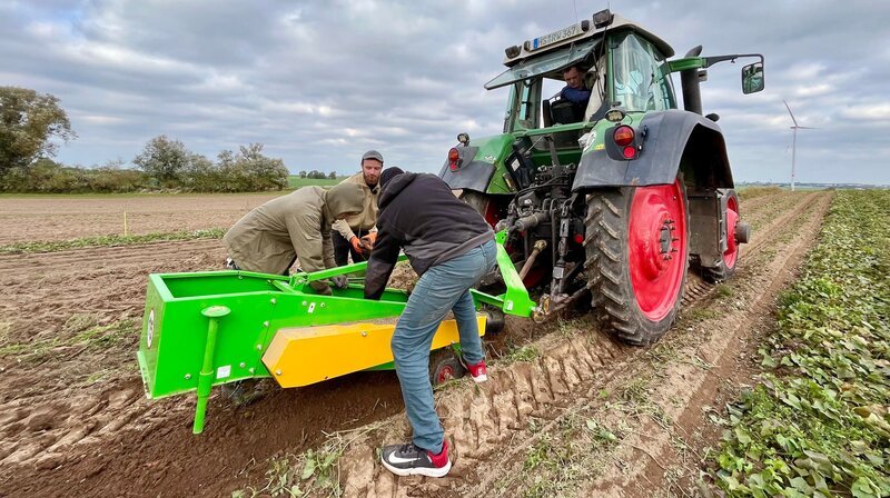 Im Herbst zeigt sich, wie das Jahr lief. Die Ernte der Süßkartoffeln beginnt. – Bild: NDR/Populär Film Im Herbst zeigt sich, wie das Jahr lief. Die Ernte der Süßkartoffeln beginnt. – Bild: NDR/Populär Film