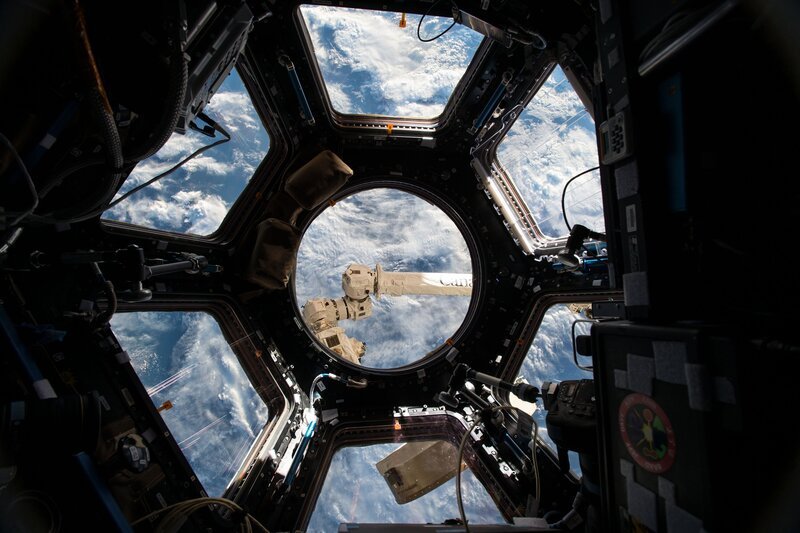 Im August 2014 machten russische Astronauten eine erstaunliche Entdeckung im All. Die Fenster der Raumstation waren mit lebendem Plankton bedeckt. Wenn also Kreaturen des Meeres im All leben können, gäbe es im Umkehrschluss auch außerirdische Lebensformen in unseren Meeren? – Bild: Public Domain