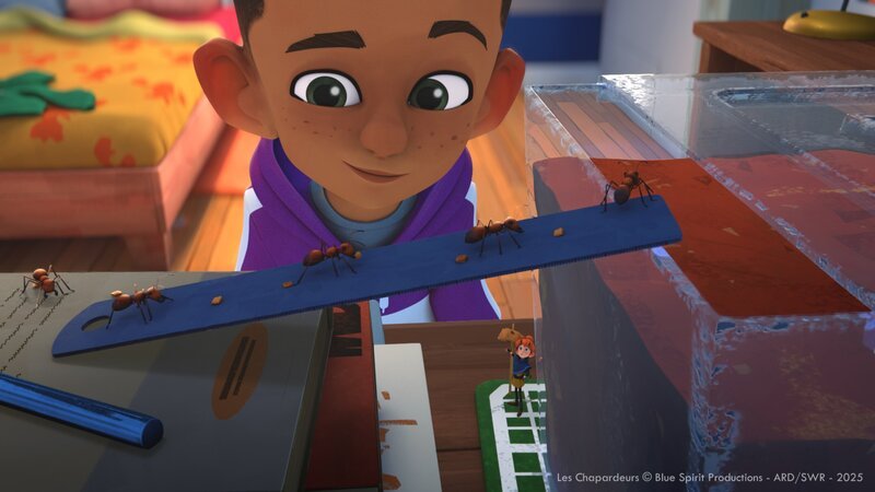 Tom ist froh. Die Ameisen laufen geradewegs zurück ins Terrarium. – Bild: SWR/​Blue Spirit Productions