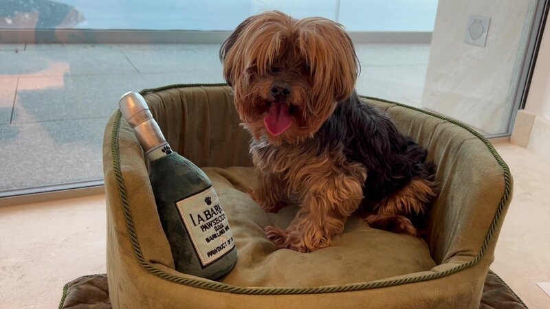 Beschreibung – Bild: RTL Zwei