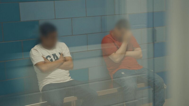 Bild: Stampede Productions Ltd /​ Jaylend Shields Lizenzbild frei