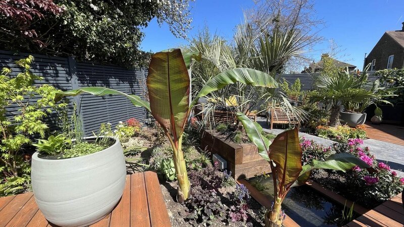 Garten mit Palmen – Bild: RTL /​ Spun Gold & All3Media International