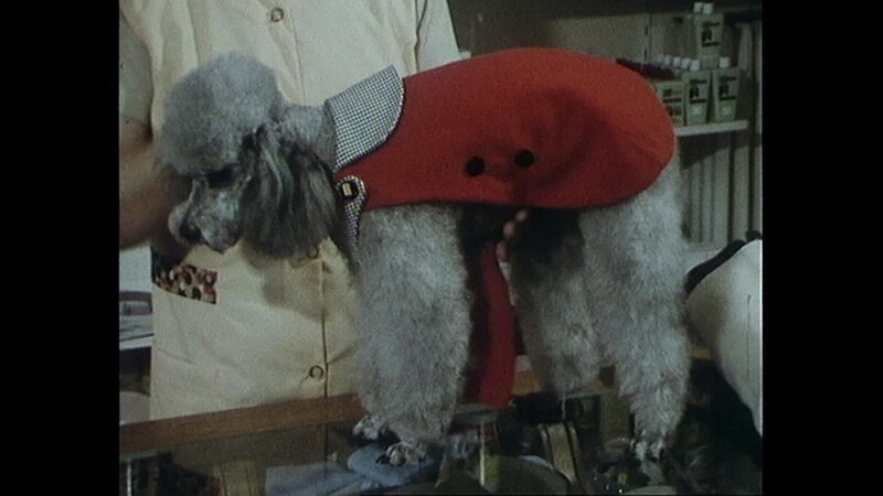 Das nennt die Verkäuferin „sportlich-elegant“. – Bild: BR/​RBB