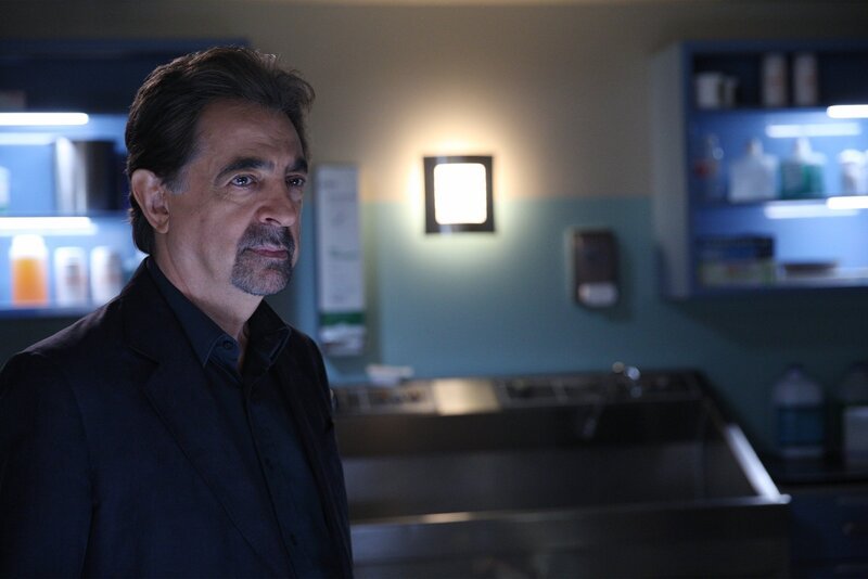 Als eine Frau umgebracht wird, muss das Team um Rossi (Joe Mantegna) alles geben, um den Täter zu fassen … – Bild: Kabel Eins