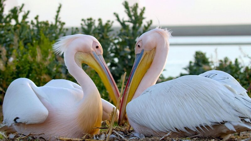  – Bild: Längengrad Filmproduktion/​Nadya Dorofeeva