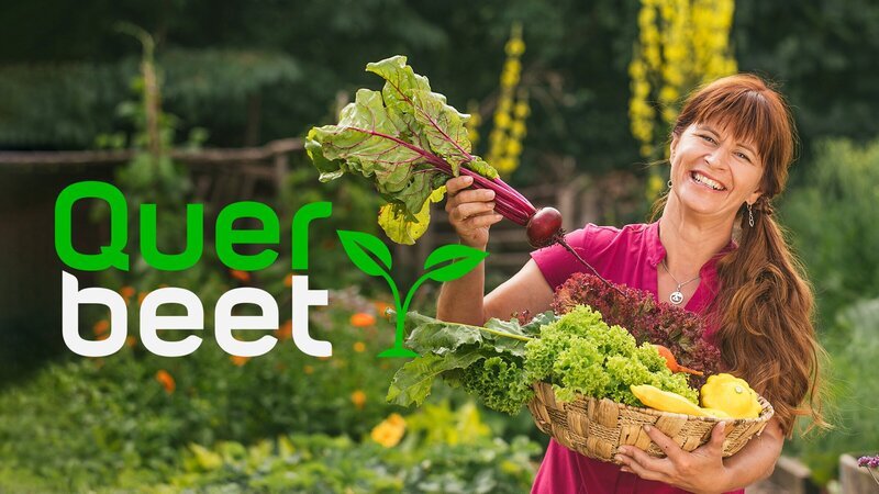 Key Visual Sendereihenbild mit Typo zu "Querbeet". "Querbeet" ist eine Magazinsendung mit Sabrina Nitsche für alle, die an gärtnerischen Themen interessiert sind. – Bild: ZDF und BR/Lisa Hinder Key Visual Sendereihenbild mit Typo zu "Querbeet". "Querbeet" ist eine Magazinsendung mit Sabrina Nitsche für alle, die an gärtnerischen Themen interessiert sind. – Bild: ZDF und BR/Lisa Hinder