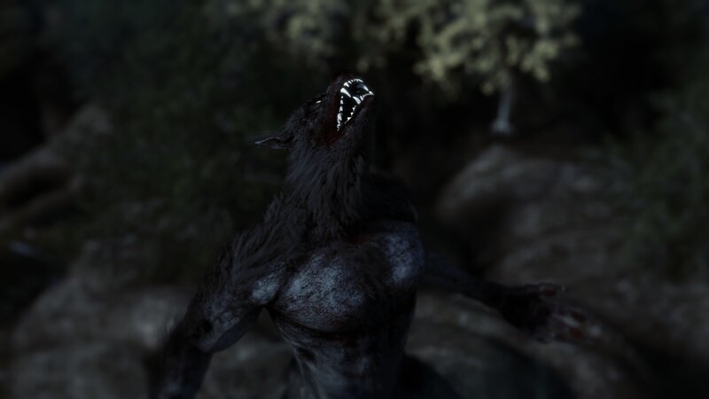 Der Werwolf – ein uralter Mythos. Das blutrünstige Zwitterwesen aus Wolf und Mensch fürchten viele Menschen seit Jahrhunderten. Noch heute ist der Werwolf beliebter Protagonist im Kino. – Bild: Jochen Ruderer /​ ZDF